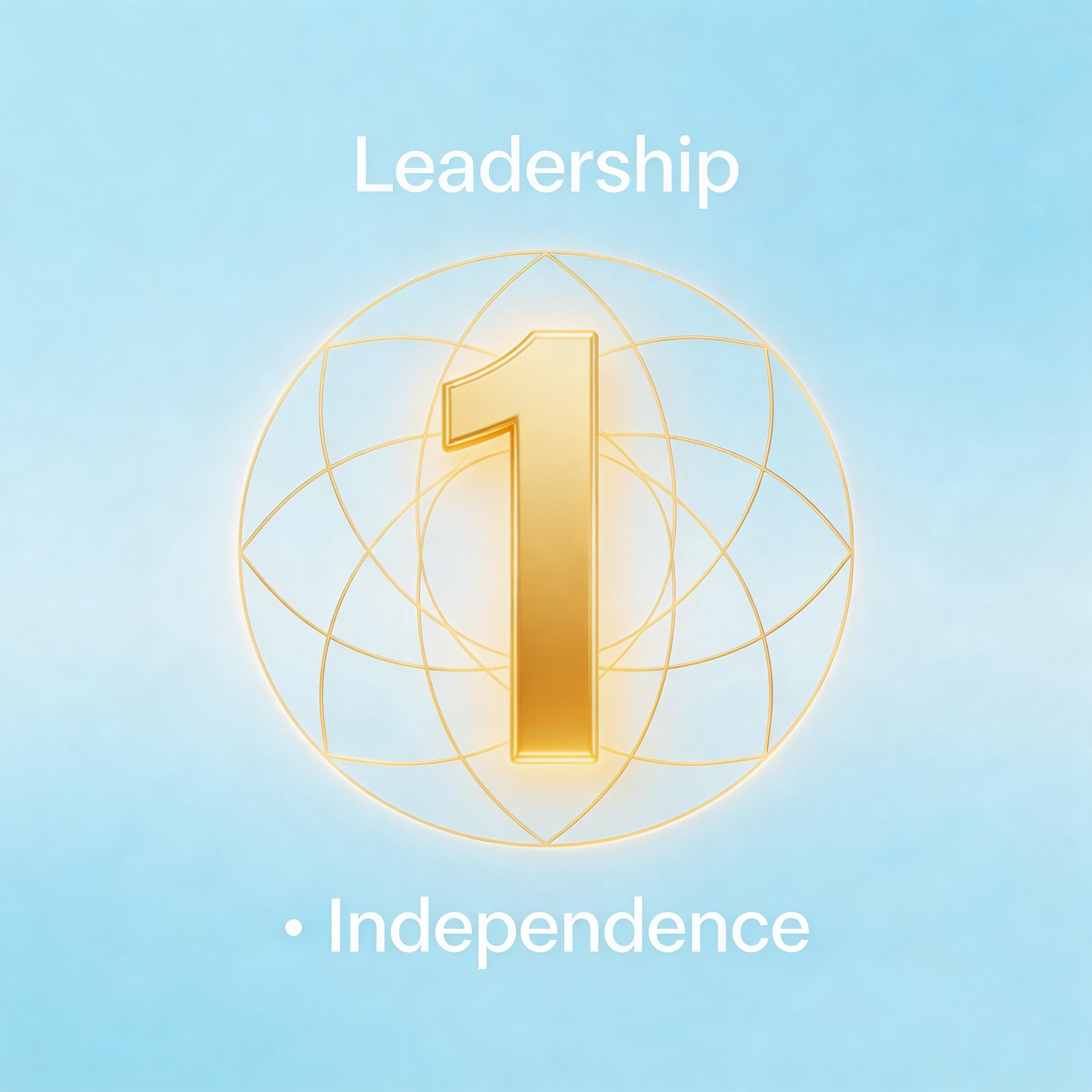 数字能量学——解析你身边的隐形磁场